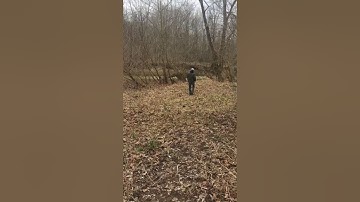 Vid #3 Delphi Murders: Retracing Libby and Abby