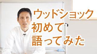 ウッドショックについて初めて語ってみました ウッドショックについて初めて語ってみました