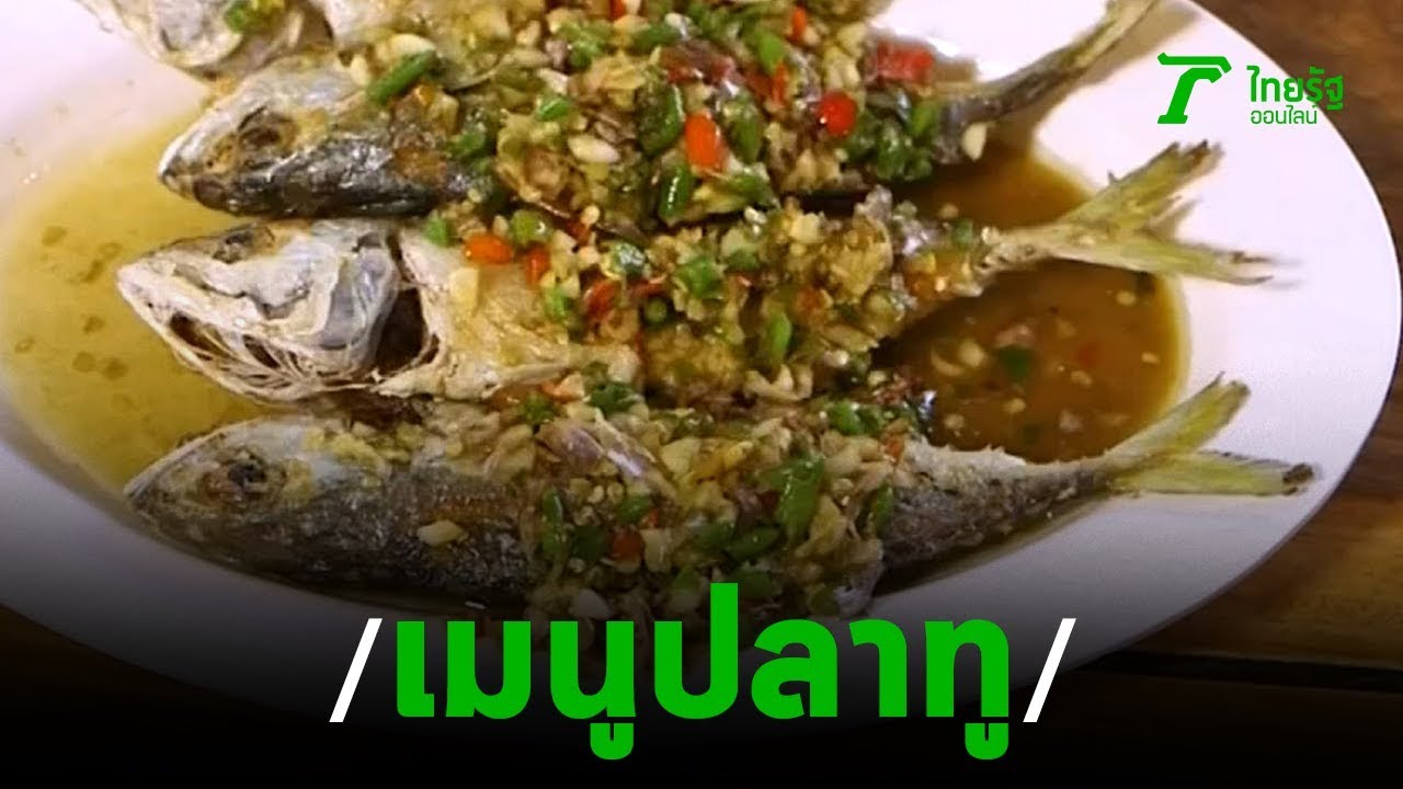 ตะลอนกิน ร้านครัวปลาทู ทิดอ้วน  | 08-12-62 | ตะลอนข่าว | ข้อมูลที่เกี่ยวข้องร้าน อาหาร ปลา ทูที่ถูกต้องที่สุดทั้งหมด