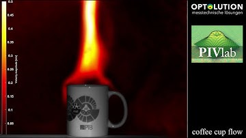 Aerodynamics of a hot coffee cup (PIV)
