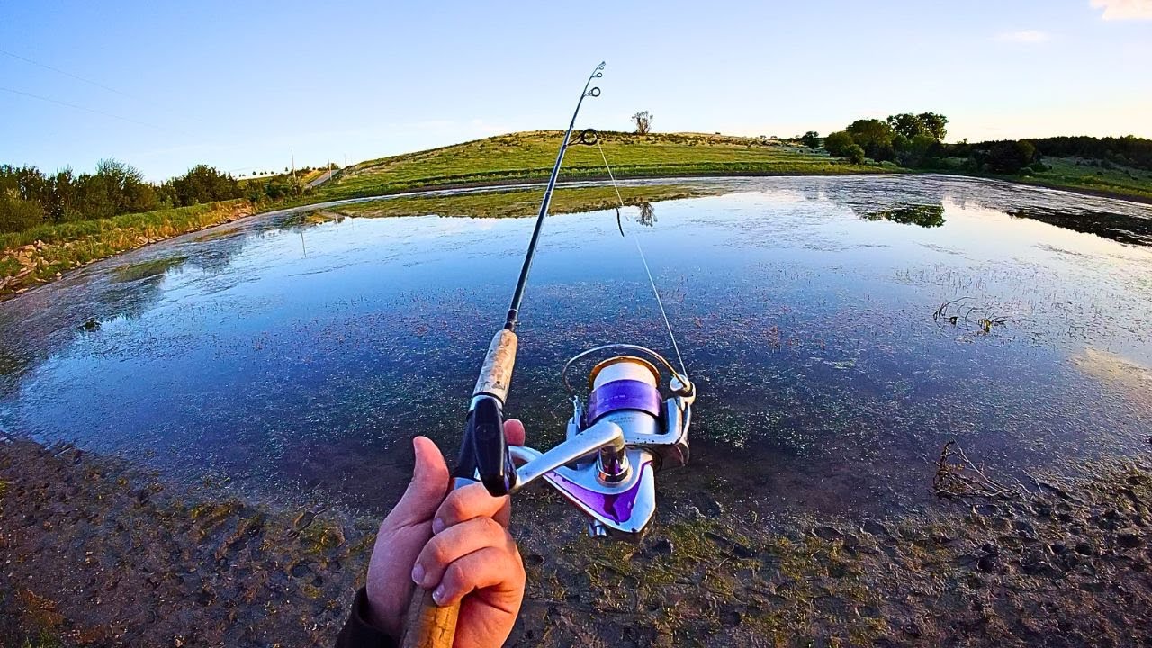 CHALLENGE#1 BIG Bass on an Ultralight!