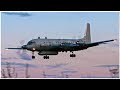 Syria Accidentally Shot Down A Russian Military Plane
