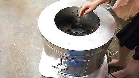 máy đánh vẩy cá rô phi, máy đánh vẩy cá trắm cỏ, cá diêu hồng, cá lóc, 0909134877