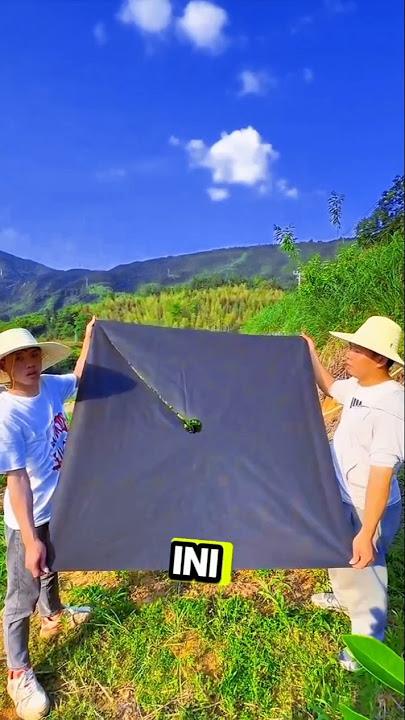 Pasang Mulsa di Pohon, Ini Manfaatnya! #farming #berkebun #pertanian