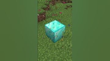 Minecraft But If You Like The Video I Turn Into Random Blocks... 😲