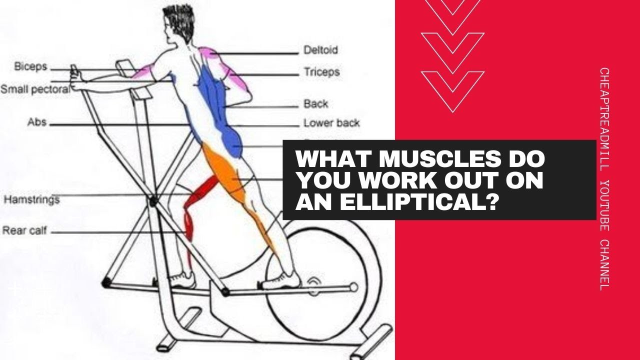 What Muscles Do You Work Out on an Elliptical? - YouTube