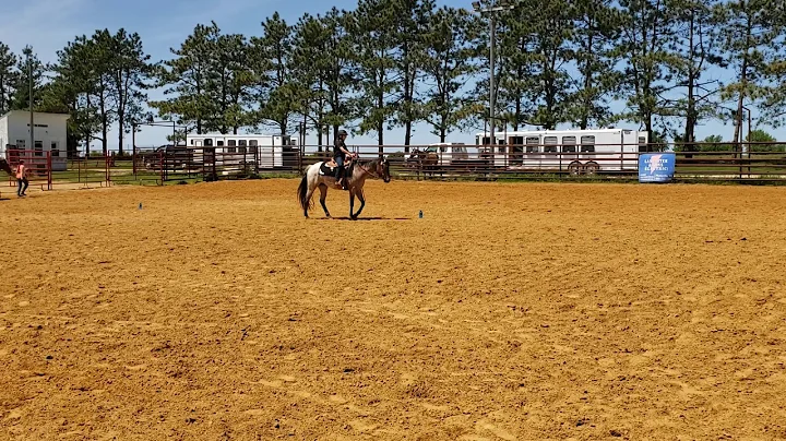 #25 TINY-TOT Walk Trot Horsemanship Gwen, DZ Set t...