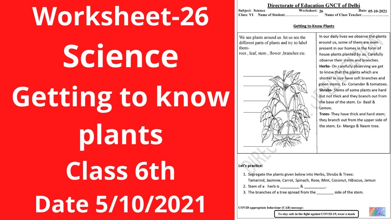 Worksheet 26 Science class 6(5/10/21)English Med/worksheet Science class 6/Science worksheet26class6
