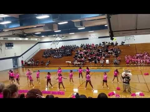 cancer awareness pep rally at Paris jr high school