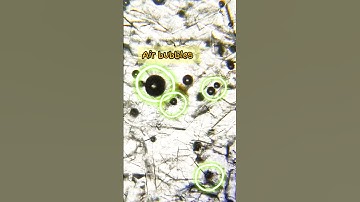 WATCH THIS 🤯 Honey under microscope 🔬 🍯| #shorts #youtubeshorts  #honey