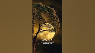يوم ترى المؤمنين والمؤمنات يسعى نورهم بين أيديهم #تلاوات #تلاوات_خاشعة #قرآن #القرآن_الكريم القر