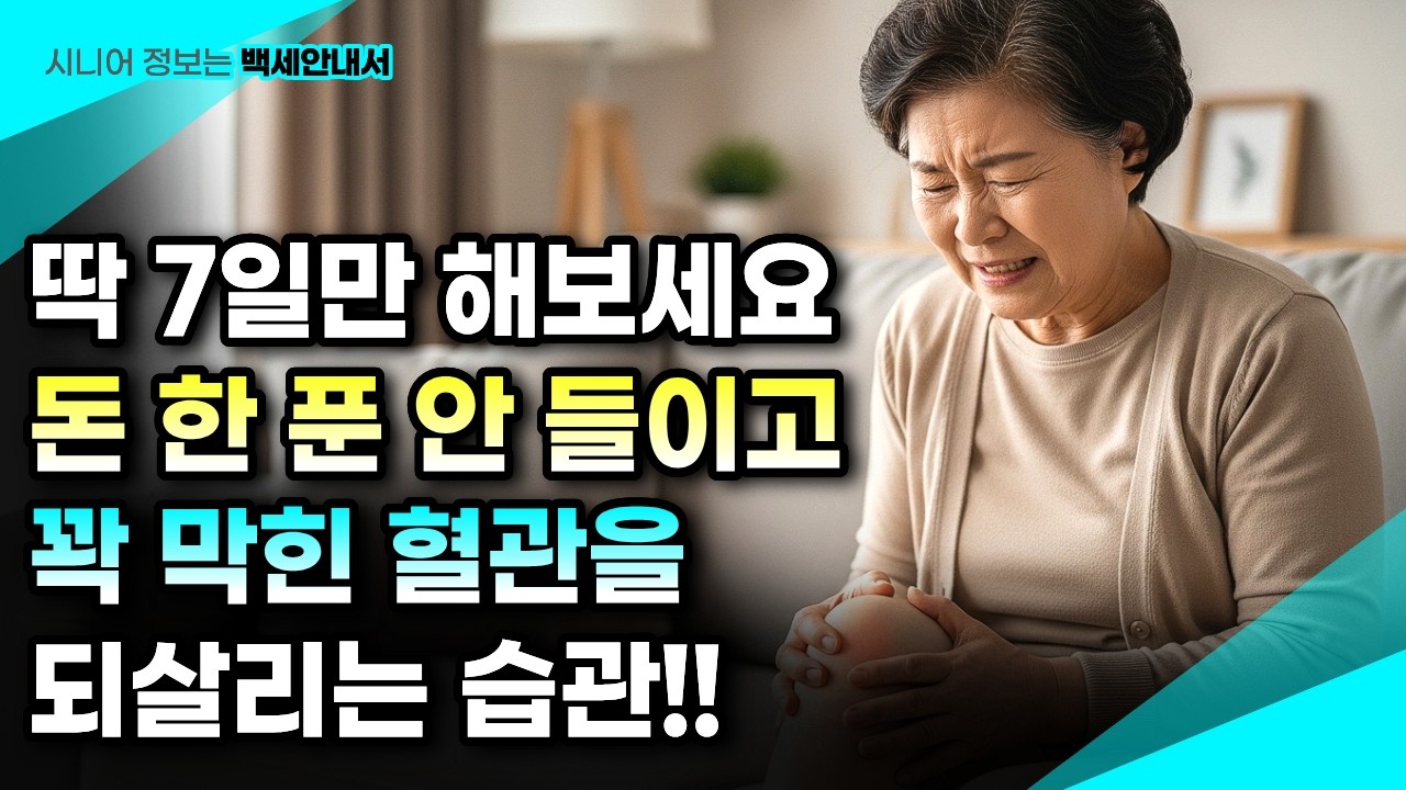 평생 먹던 약 끊게 만든 비밀! 혈관 기름 쫙 빼고 뱃살 줄이는 기적의 생활습관