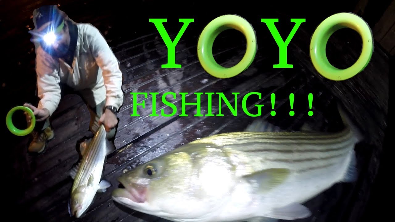 Yoyo Fishing