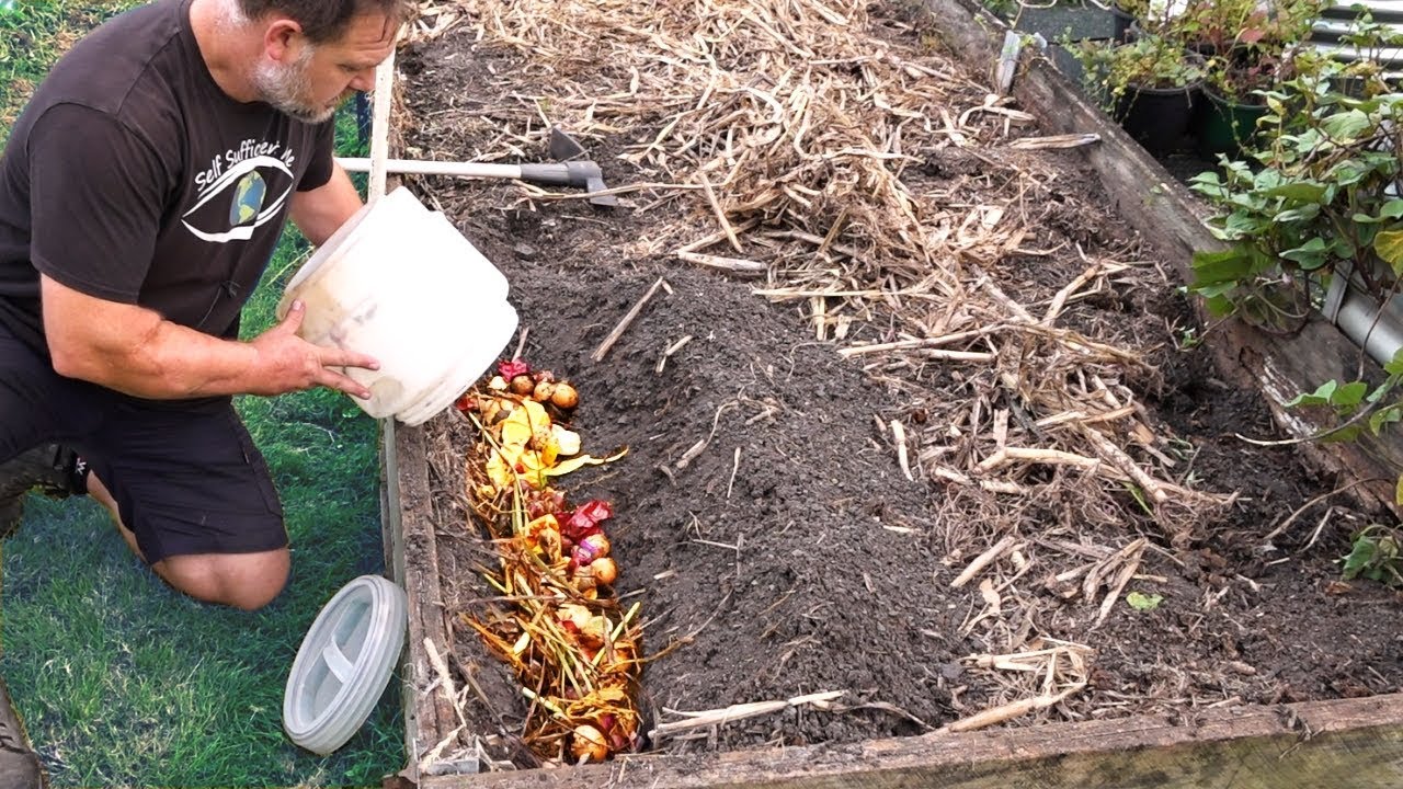 What Happens When You Bury Kitchen Scraps In The Garden YouTube