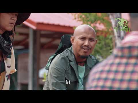 พันธุ์ไทย EP.2 นี่หรือ หางกระรอกภูพาน!!! : Part 1/2
