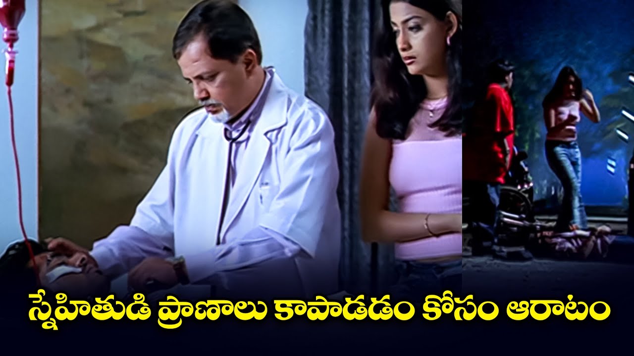 స్నేహితుడి ప్రాణాలు కాపాడడం కోసం ఆరాటం | Simbu 