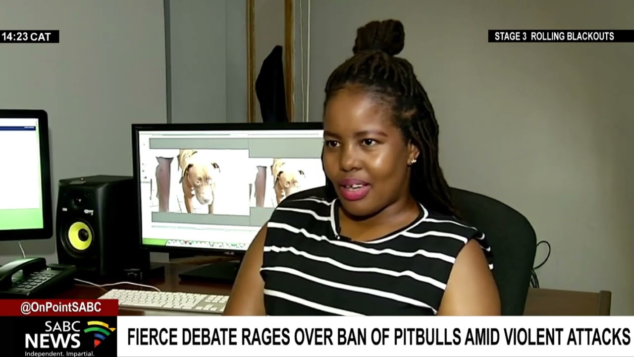 Fierce debate rages over ban of pitbulls amid violent attacks