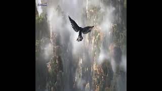 Asura Online Monkey King All Cinematic Trailers