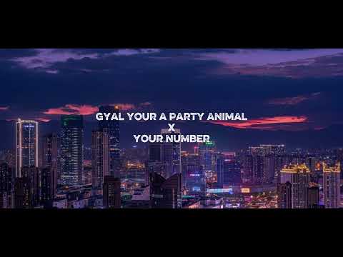 Gyal your party animal x your number