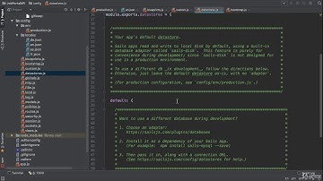 LESSON 3 - Understanding Sails Directory Structure