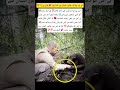 that's really of humanity#trending #love #shorts#shortvideo
