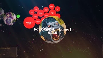 GOTAIO SAME SIZE , POPSPLIT , DOUBLESPLIT 😉👌