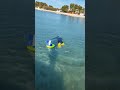 discovered a new way to search for gold with a metal detector