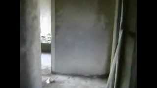 MOV05009.AVI