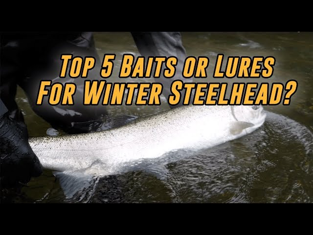 TOP 5 Baits Or Lures For Catching Winter Steelhead 