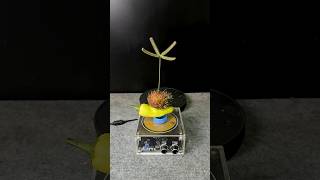 Tesla coil testing #experiment #teslacoil #highvoltage #shorts