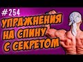 как накачать спину | секрет упражнения для спины