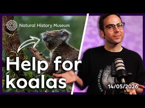 Protected koalas to deep sea mining | Nature news you need to know
