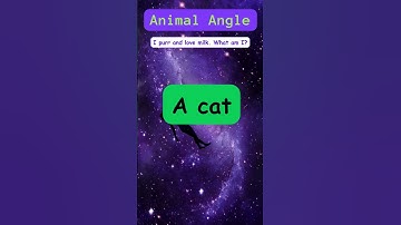 Only Geniuses Can Get This One Right! 🤯