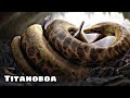 Titanoboa - La Serpiente Más Grande y Temida en la Prehistoria