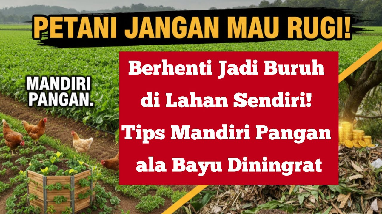 Berhenti Jadi Buruh di Lahan Sendiri! Tips Mandiri Pangan ala Bayu Diningrat
