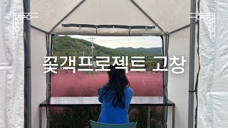 📍 꽃객프로젝트 고창 🌸