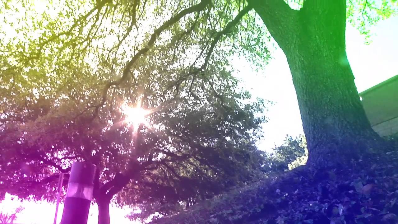 Life of an Austinite (Part I)