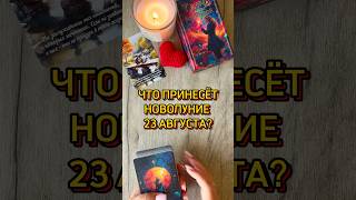 🌖НОВОЛУНИЕ, ЧТО ПРИНЕСЁТ? #таро #tarotcards #tarot #таролог #новолуние #гадание #картытаро