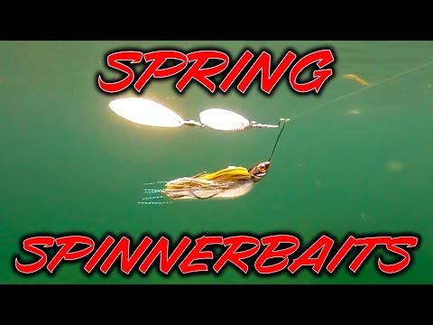 Spring Spinnerbait Fishing! Everything You Need To Know! 