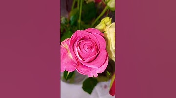 لا تنسوا سورة الملك قبل النوم لعلها هي المنجية don't forget to read surat al  mulk maybe it's savior