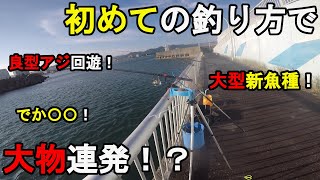 【千葉県某所】初めての釣り方で大物連発！？真夏のお盆休みの8月上旬、関東地方にある房総半島の太平洋側に面している外房の釣り場で、トリックサビキや新釣法などで釣りしてみたら…！【2022.08.09】