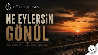 Gölge Mekan Ne Eylersi̇n Gönül