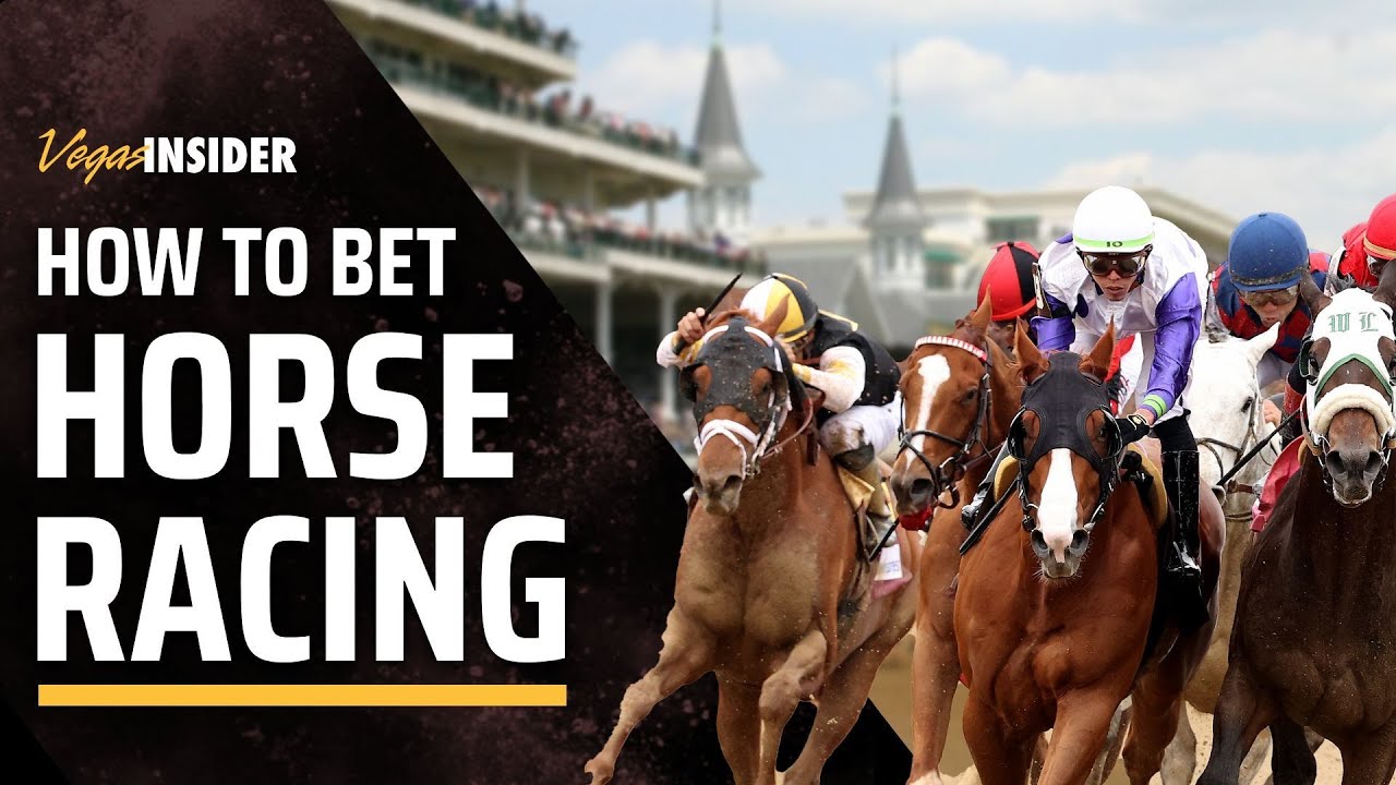 How to Bet Horse Racing | The Ultimate Guide on Betting on Horse Racing -  YouTube