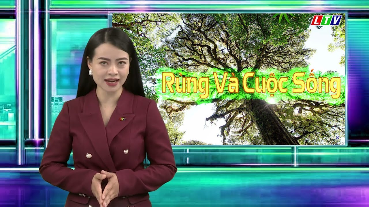 PẮC TA CHỦ ĐỘNG PHÒNG CHÁY, CHỮA CHÁY RỪNG