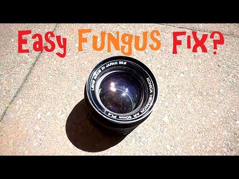 Does this Easy trick Stop Lens Fungus from spreading ?