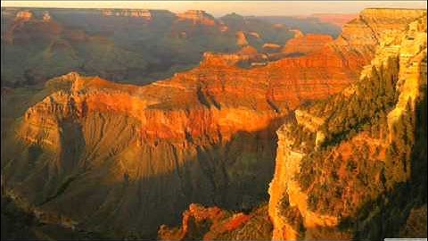 أحمد تميم المراغي #سورة - الإخلاص