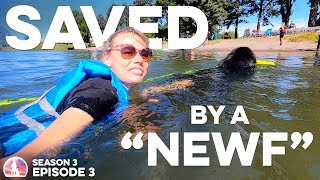 S03E03  Jess is saved from DROWNING by an enormous Newfoundland dog!