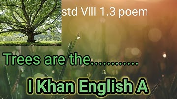 Trees are the kindest things I know