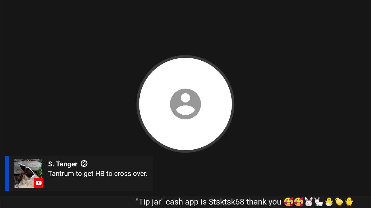 Quick chat anyone! LMAO! YouTube