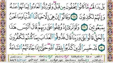 سورة الانعام مكتوبة سعد الغامدي